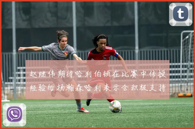 赵继伟期待哈利伯顿在比赛中传授经验给杨瀚森哈利表示会积极支持