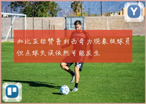 加比亚称赞普利西奇为现象级球员但点球失误依然可能发生
