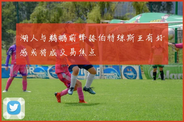 湖人与鹈鹕前锋赫伯特琼斯互有好感或将成交易焦点