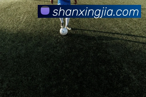 奖项2